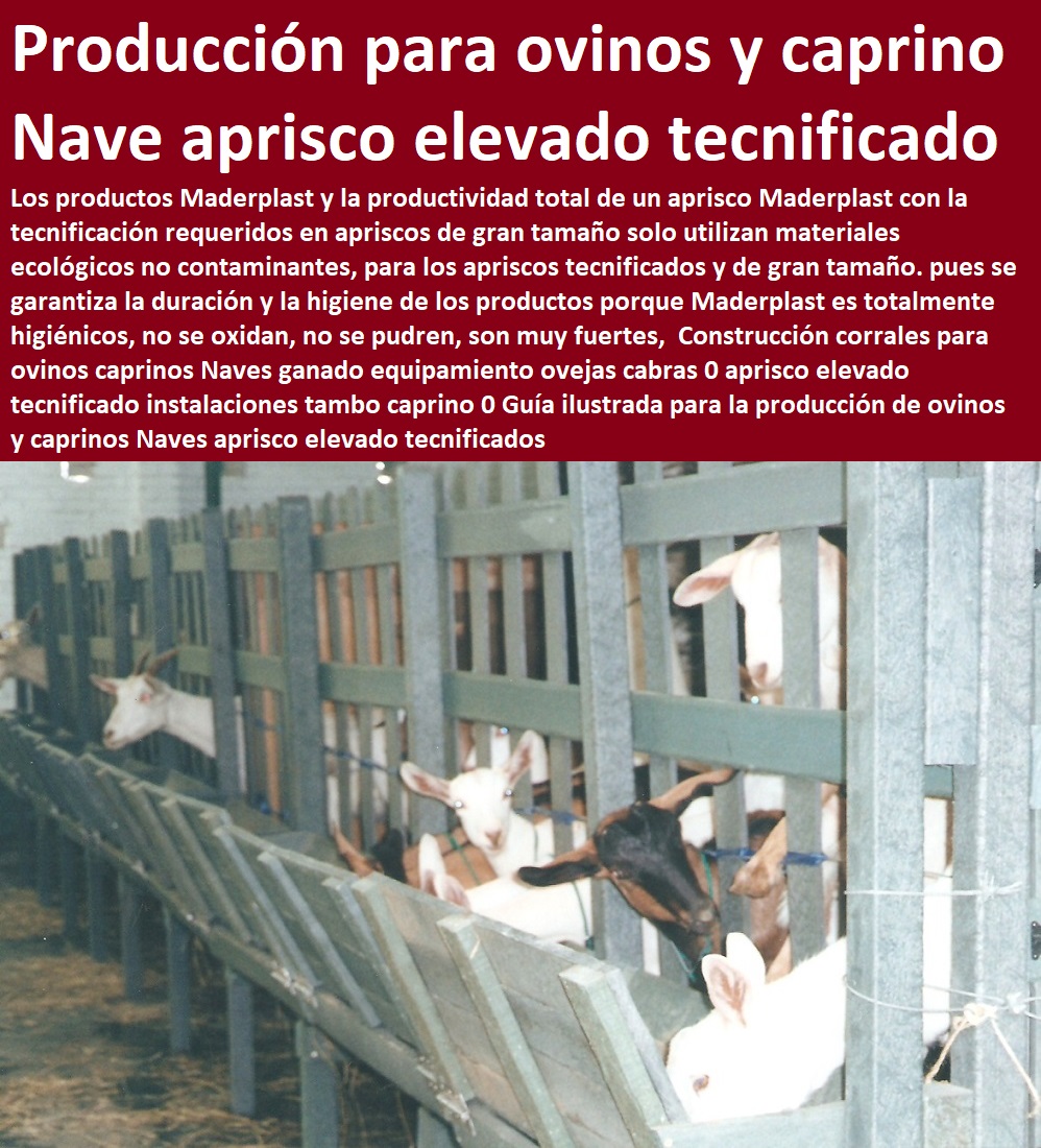 Construcción corrales para ovinos caprinos Naves ganado equipamiento ovejas cabras 0 corral de cabras apriscos corrales para caprinos estabulación ovejas cabras cabritos borregos chivos chivas, corralejas elevadas, apriscos estabulación de caprinos. planos de apriscos para cabras, establo para cabras, diseño de corrales para cabras, proyecto cabras lecheras en corral, corrales para cabras lecheras, aprisco elevado tecnificado instalaciones tambo caprino 0 Guía ilustrada para la producción de ovinos y caprinos Naves aprisco elevado tecnificados Construcción corrales para ovinos caprinos Naves ganado equipamiento ovejas cabras 0 aprisco elevado tecnificado instalaciones tambo caprino 0 Guía ilustrada para la producción de ovinos y caprinos Naves aprisco elevado tecnificados